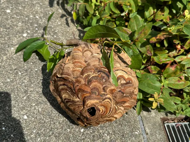 【業歴50年の実績】あなたの「困った」を当社スタッフが全力で解決します！サービスの画像