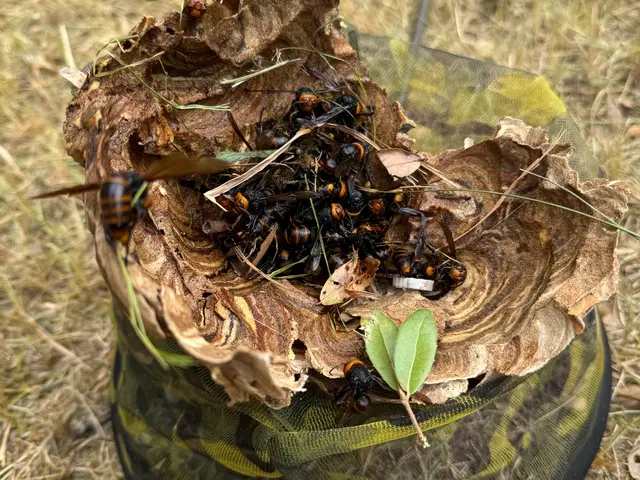 【業歴50年の実績】あなたの「困った」を当社スタッフが全力で解決します！サービスの画像