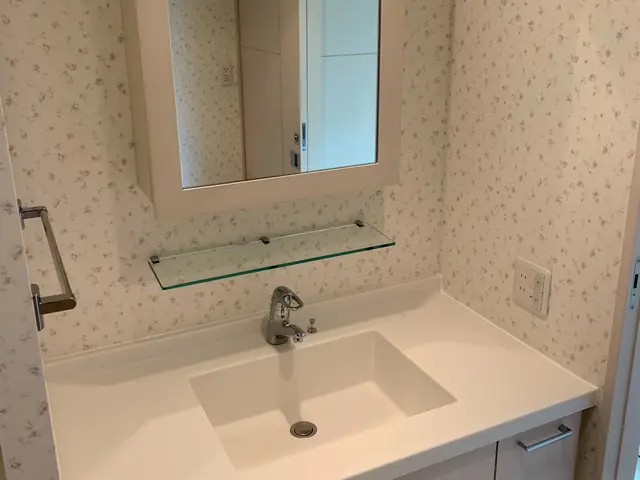 【夫婦で訪問致します】洗面化粧台　気になる汚れもスッキリ落とします！！！サービスの画像