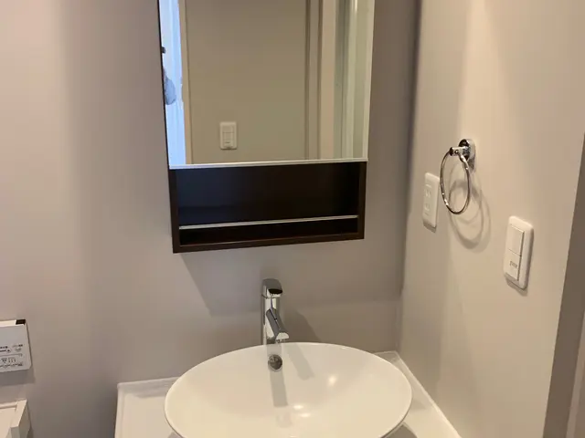 【夫婦で訪問致します】洗面化粧台　気になる汚れもスッキリ落とします！！！サービスの画像