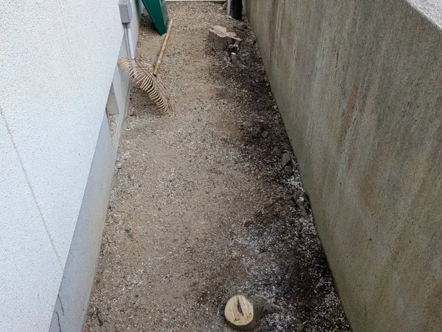 雑木伐採、庭木伐採サービスの画像