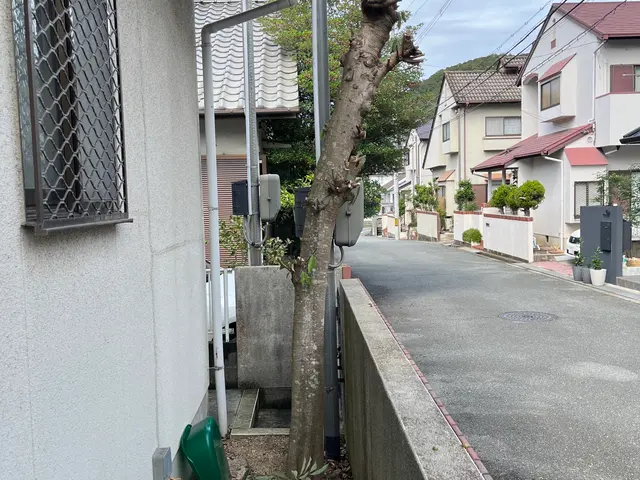 雑木伐採、庭木伐採サービスの画像