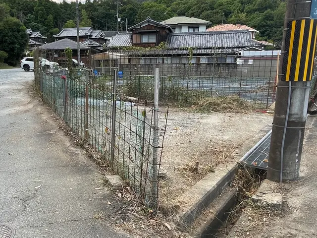 雑木伐採、庭木伐採サービスの画像