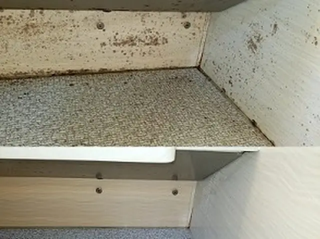 【綺麗】でお客様に感動を！長崎県内評価数1位の口コミを見て、決めて下さい。サービスの画像