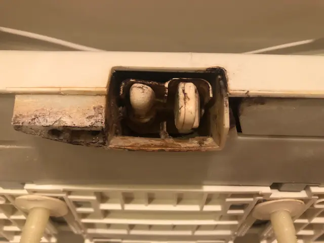 ペット大好き☆女性スタッフなので安心☆キャッシュレスOK!当社オリジナル除菌☆サービスの画像