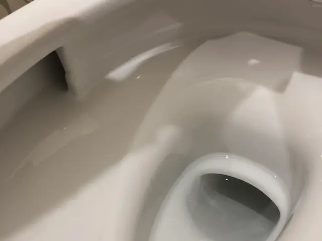 ペット大好き☆女性スタッフなので安心☆キャッシュレスOK!当社オリジナル除菌☆サービスの画像