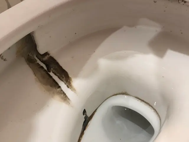 ペット大好き☆女性スタッフなので安心☆キャッシュレスOK!当社オリジナル除菌☆サービスの画像