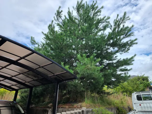 作業をした後もお任せ下さい！サービスの画像