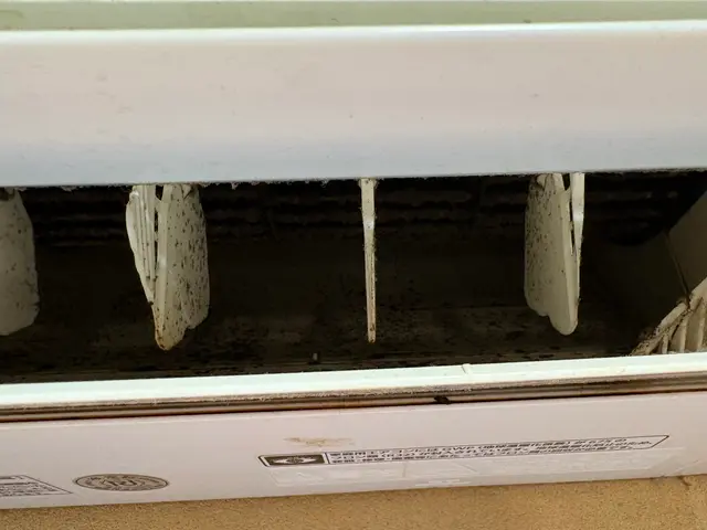 【2025年9月出店】外注一切無★損害保険加入済★大手業務経験◎サービスの画像