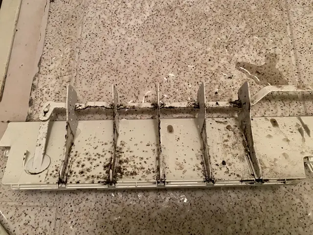 PayPay対応！！写真の私がお伺いいたします。◎保険加入済◎サービスの画像