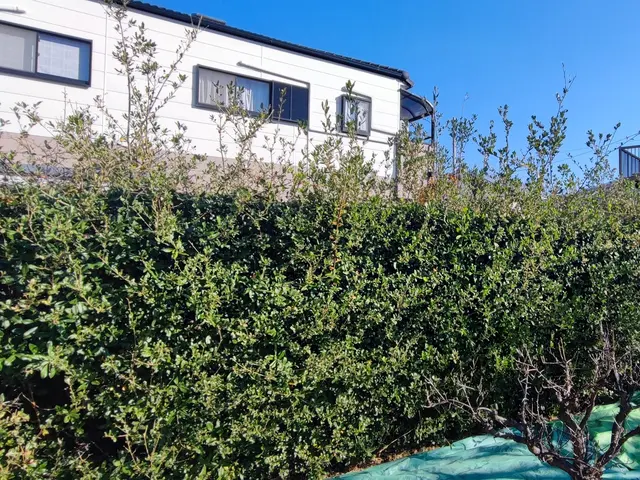 私がお伺いします！お庭のお困り事を解決致します。サービスの画像