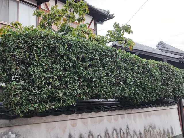 私がお伺いします！お庭のお困り事を解決致します。サービスの画像