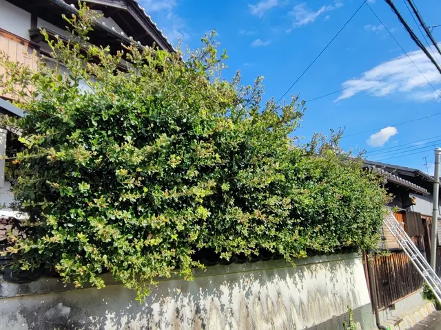 私がお伺いします！お庭のお困り事を解決致します。サービスの画像