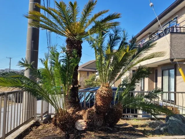 【業歴11年】木一本、草一本から受付致します。損害保険加入済み◎サービスの画像