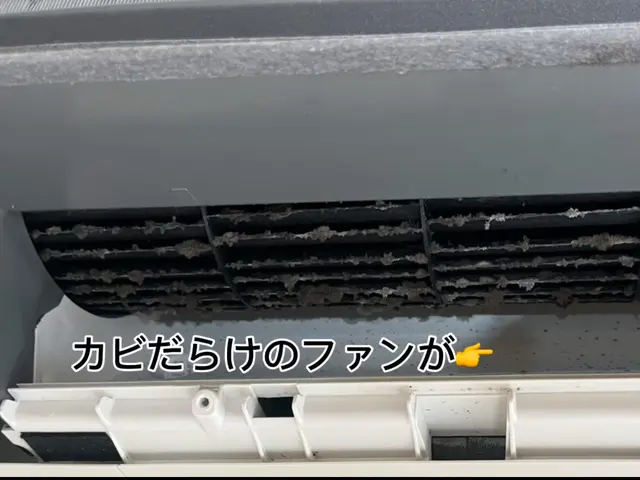 ◎分解高圧洗浄&高レベル除菌水使用◎黒カビ・ホコリ・アレルギー物質除去◎非喫煙サービスの画像