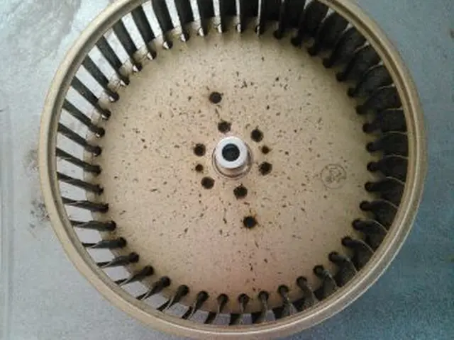 レンジフードクリーニングサービスの画像