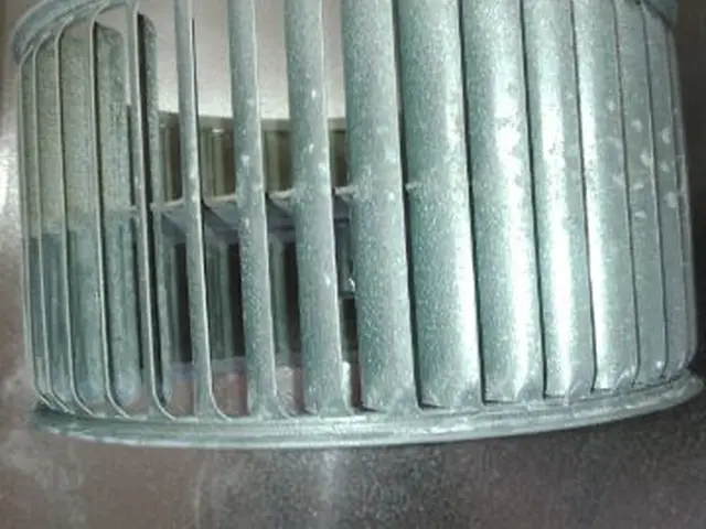 レンジフードクリーニングサービスの画像