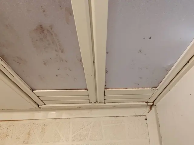 【親切・丁寧】安心の損害保険加入済み！駐車場代はお店負担◎サービスの画像