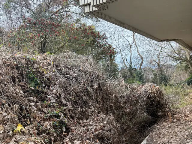 安心事前無料見積もり！立ち合いなし可！伐採、草刈り承ります。サービスの画像