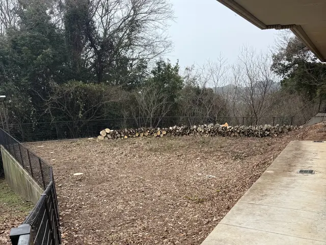 安心事前無料見積もり！立ち合いなし可！伐採、草刈り承ります。サービスの画像