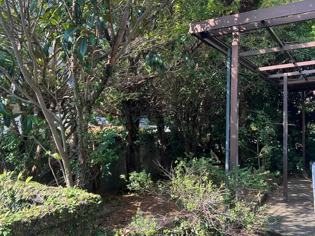 安心事前無料見積もり！PayPay決済可！伐採、草刈り承ります。サービスの画像