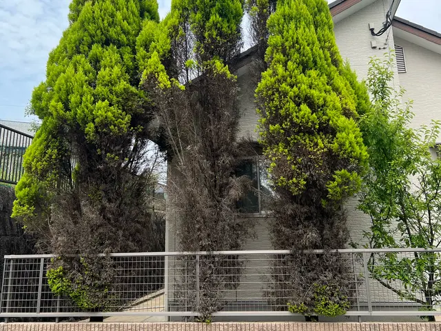 安心事前無料見積もり！PayPay決済可！伐採、草刈り承ります。サービスの画像