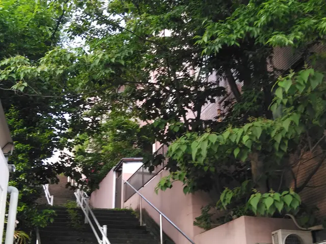 〇庭園管理士の資格を所有〇庭木1本からでもお気軽にご連絡ください！家工房三ツ沢店サービスの画像