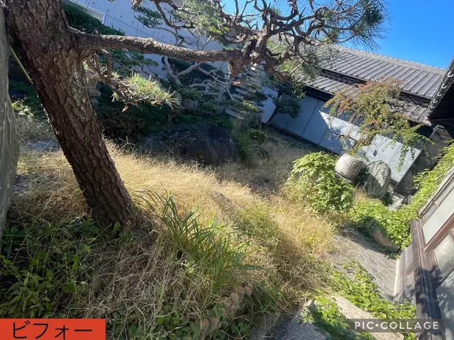 草むしり【作業外注一切なし】サービスの画像