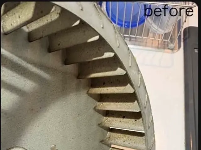 プロの技術でご満足いただけるように心を込めて作業いたしますサービスの画像