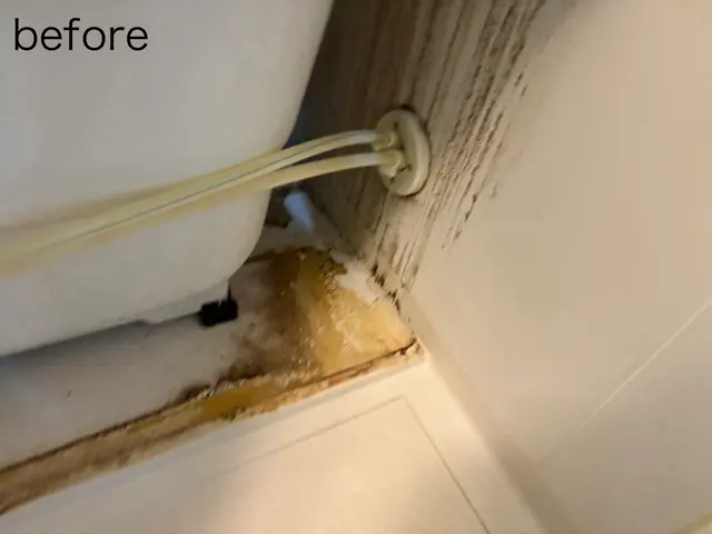 プロの技術でご満足いただけるように心を込めて作業いたしますサービスの画像