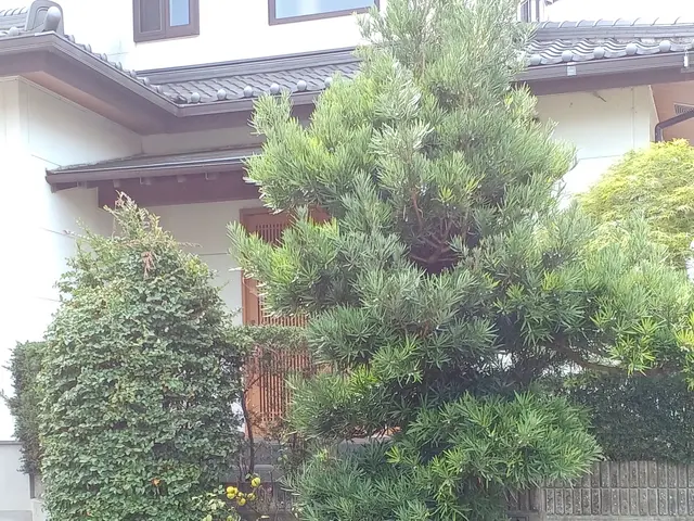 ★空き家対策協会会員☆業歴13年の店長が対応◎女性スタッフの同行も可能です！サービスの画像