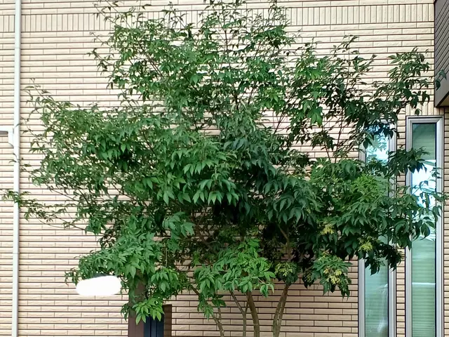 ★空き家対策協会会員☆業歴13年の店長が対応◎女性スタッフの同行も可能です！サービスの画像