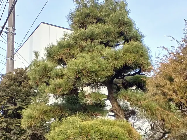 ★空き家対策協会会員☆業歴13年の店長が対応◎女性スタッフの同行も可能です！サービスの画像