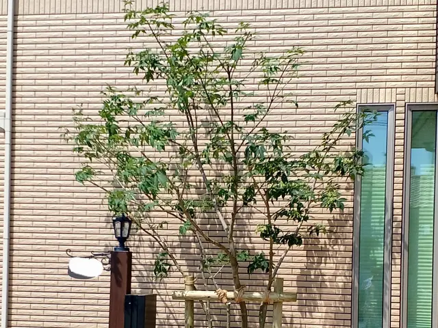 ★空き家対策協会会員☆業歴13年の店長が対応◎女性スタッフの同行も可能です！サービスの画像