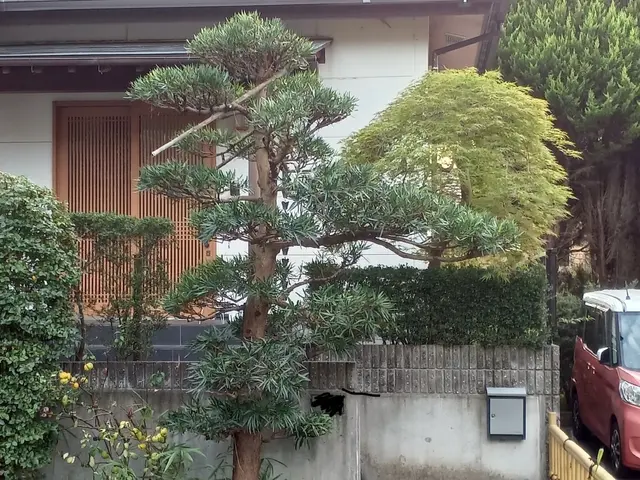 ★空き家対策協会会員☆業歴13年の店長が対応◎女性スタッフの同行も可能です！サービスの画像