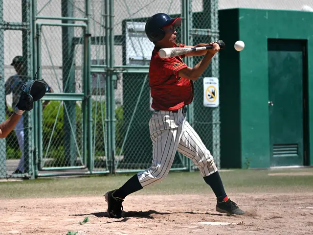 土、日、限定で社会人野球や少年野球大会の思い出の写真を残しましょう