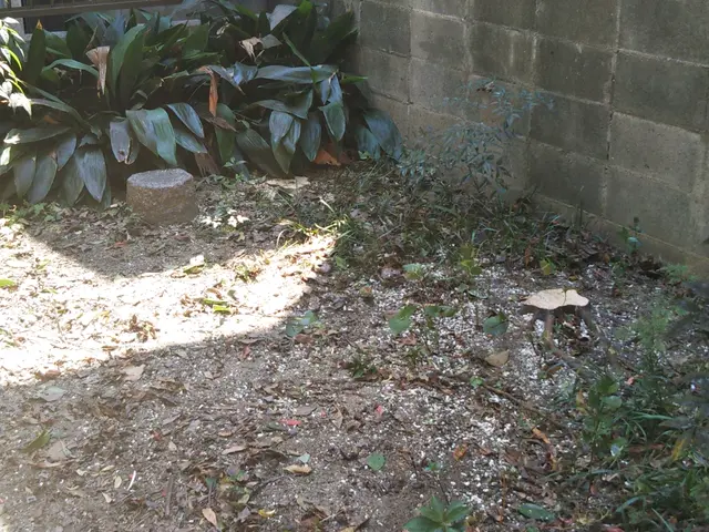 複数ある場合値引き可能◎すべて自社対応★駐車場代お店負担サービスの画像