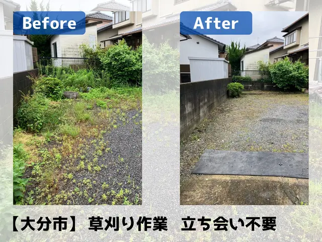 伸び放題の草を一掃UHandサービスの画像