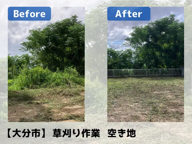 伸び放題の草を一掃UHandサービスの画像