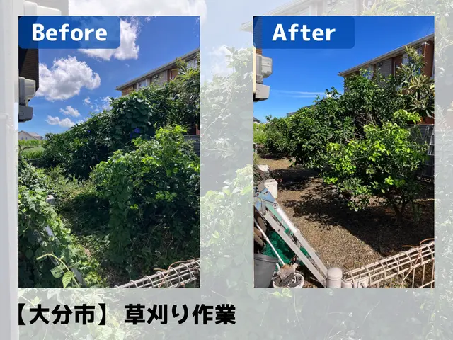 伸び放題の草を一掃UHandサービスの画像