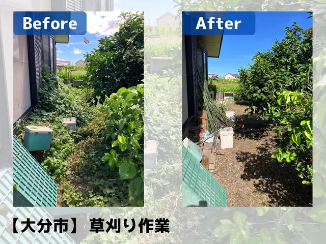 伸び放題の草を一掃UHandサービスの画像