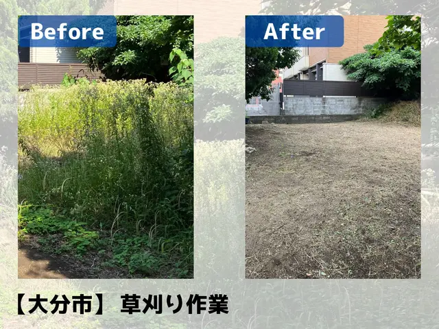 伸び放題の草を一掃UHandサービスの画像