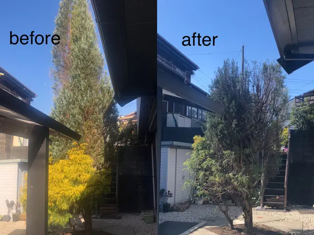 【三重県】自然樹形剪定・伐採・長年放置した木等もご相談ください！(写真見積り可能サービスの画像