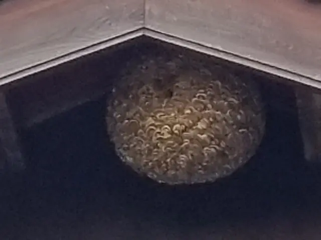 ＜土日祝も対応◎＞損害保険加入済み！ヒアリングを大切にしております！サービスの画像