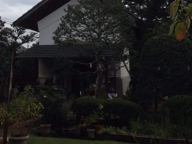 ◇鉢の植え替え◇職人が作業終了まで丁寧に対応します！サービスの画像