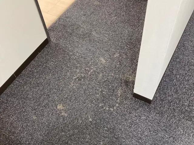 【業歴15年の実績】プロの技術でご満足いただけるように心を込めて作業いたしますサービスの画像