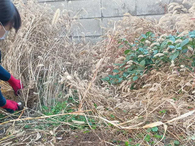 大切なお庭を綺麗にさせて頂きます！サービスの画像