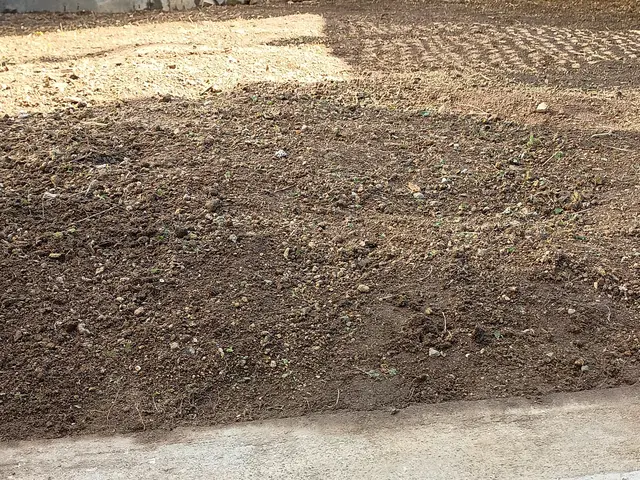 大切なお庭を綺麗にさせて頂きます！サービスの画像