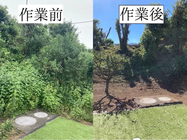 仕事の早さ◎クレカ対応OK◎丁寧で綺麗な仕上がり◎荒れたお庭でもお任せくださいサービスの画像