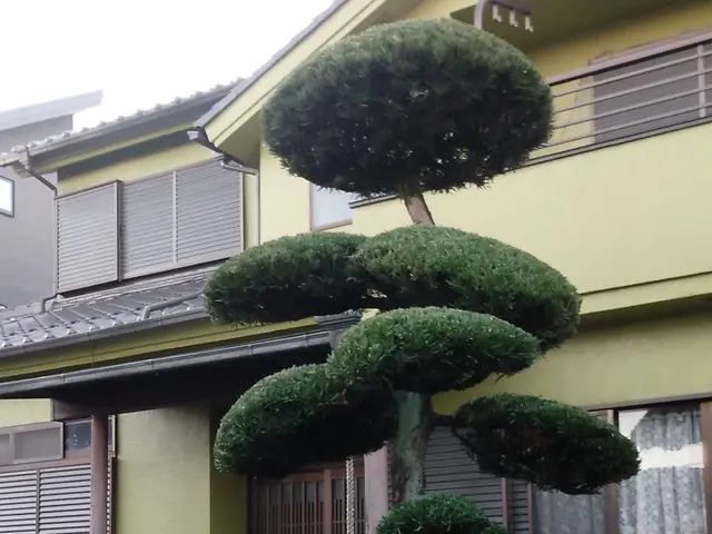 千葉県◆年中無休★植え込みや生垣が綺麗だと、お家が立派に見え、防犯にもなります。サービスの画像